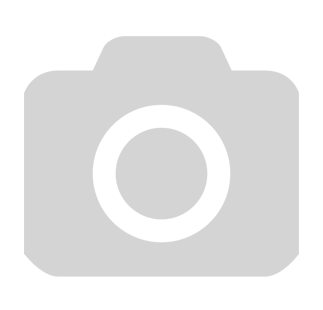 GISLAVED NORD FROST VAN 2