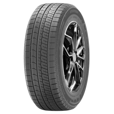 LANDSPIDER WINTERTRAXX H/P
